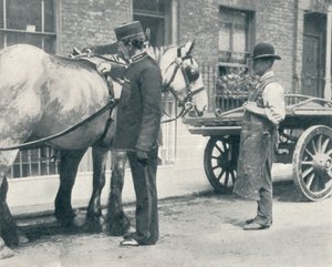Inspecteur de la RSPCA examinant un cheval, vers 1903