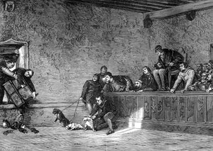 Combat de rats, reconstitution de Louis XI de France, 1461-1483, 1882-1884 - Unbekannt