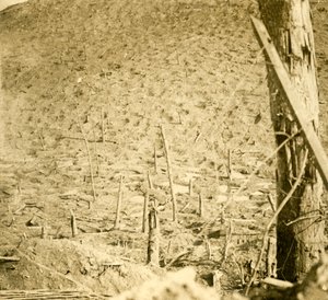 Ravin aux Éparges, nord de la France, vers 1914-1918