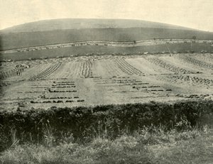 Concours de moissonneuses-lieuses, Mount Blowhard, près de Ballarat, 1901