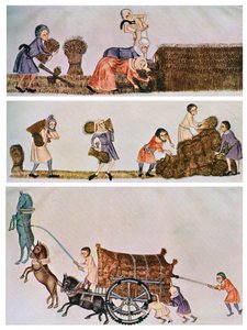 Moisson, transport et charriage