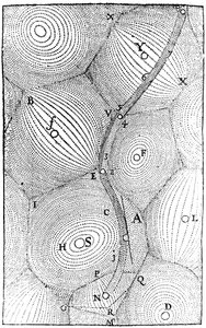 Modèle de René Descartes de la structure de l