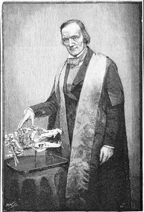 Richard Owen, naturaliste britannique, c1856 1891