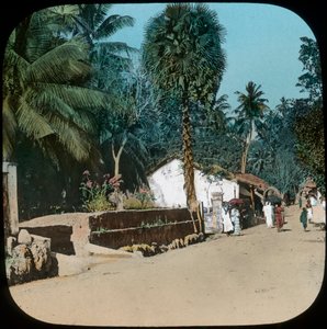Route de Colombo à Galle, Colombo, Ceylan, fin 19e ou début 20e siècle