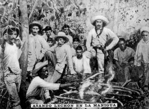 Rôtissage de cochon dans la jungle, Cuba, vers 1910