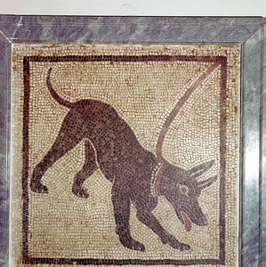 Mosaïque romaine de chien, Cave Canem, Pompéi, Italie