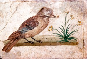 Peinture murale romaine de Jay de Boscoreale près de Pompéi, 1er siècle