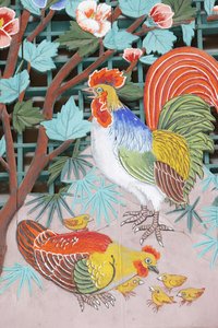 Coq, poule et poussins, Séoul, Corée du Sud