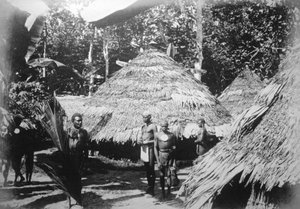 Maisons rondes des indigènes à Timotu, Santa Cruz, 1892 - Unbekannt