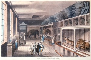 Ménagerie royale, Exeter Change, Strand, Londres, vers 1820