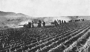 Artillerie de campagne russe dans le champ de millet, guerre russo-japonaise