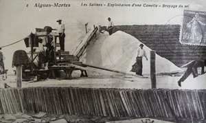 Salines, Camargue, Aigues-Mortes, Provence, France (photo n/b) - Unbekannt