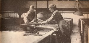 Serrage de la levure dans une brasserie de Burton-On-Trent, vers 1916, 1935 - Unbekannt