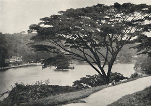 Voir, Temple de la Dent Sacrée et Bibliothèque à Kandy, vu du Victoria-Drive vers l