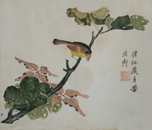 Graines et Aleurites Cordata : Page du Manuel du Jardin de la Graine de Moutarde, 1782, 2ème édition