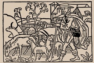 Berger. De Speculum Vitae Humanae par Rodericus Zamorensis, 1479 - Unbekannt