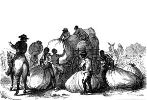 Travail forcé chargeant des sacs de coton sur une charrette, États du sud des États-Unis