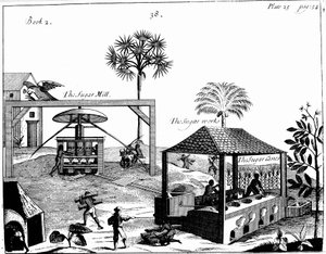 Travail des esclaves dans une plantation de sucre aux Antilles, 1725