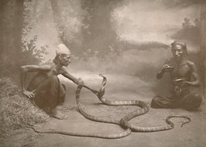 Charmeurs de serpents avec hamadryades Kuy Cobras, 1900