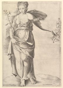 Speculum Romanae Magnificentiae : Flora