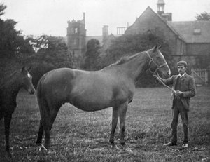 St Marguerite, cheval de course britannique, 1895 1938