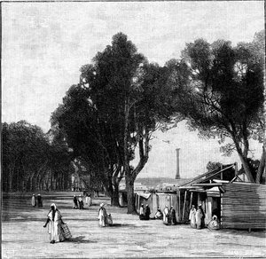 Scène de rue avec la colonne de Pompée au loin, Alexandrie, Égypte, 1900