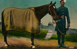 Syce, c1910 - Unbekannt