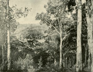 Les Montagnes Bleues, 1901 - Unbekannt
