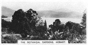 Les jardins botaniques, Hobart, Tasmanie, 1928 - Unbekannt
