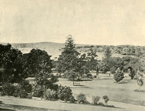 Les jardins botaniques de Sydney, 1901