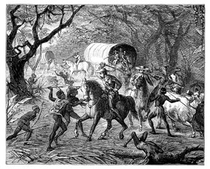 La guerre des Cafres : Les indigènes attaquent un convoi, 19ème siècle
