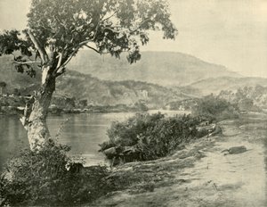 La Derwent à New Norfolk, 1901 - Unbekannt