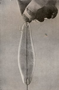 La première lampe électrique à incandescence, vers 1916 - Unbekannt