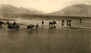 La première vue du mont Everest, vers 1918-1939 - Unbekannt
