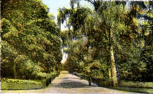 La promenade des fleurs, Kensington Gardens, Londres, 20e siècle - Unbekannt