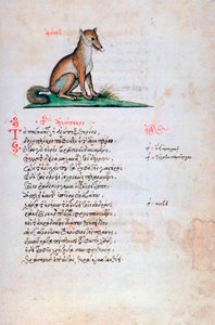 Le Renard, 1564