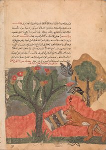 Le renard et le tambour, Folio de Kalila wa Dimna