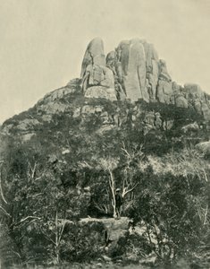 La Bosse, Montagnes Buffalo, 1901