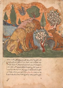 Le roi lion, avec sa mère, reçoit Dimna, Folio d