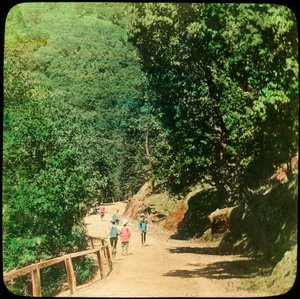 La route du Mall, Simla, Inde, fin du 19e ou début du 20e siècle - Unbekannt
