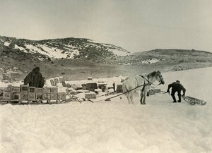 Le Pont Quan sur le point de tirer un traîneau chargé de provisions, vers 1908, 1909