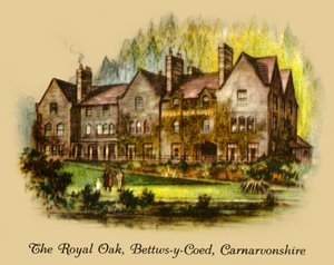 Le Chêne Royal, Bettws-y-Coed, Carnavonshire, 1936