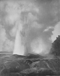 Le Geyser Waikite