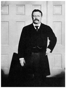 Theodore Roosevelt, 26ème président des États-Unis, vers 1900 - Unbekannt