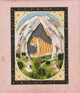 Tigre dans une grotte