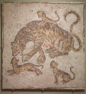 Tigresse et petits, 300s