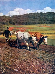 Tilling, Allemagne, 1943