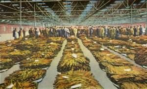 Vente de tabac, une scène toujours intéressante, 1942