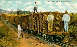 Train de cannes à sucre, Cuba, vers 1910 - Unbekannt