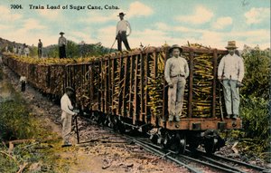 Train de cannes à sucre quittant le champ, Cuba, 1915 - Unbekannt